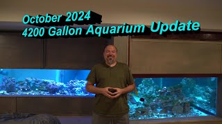 October 2024: 4200 Gallon Aquarium Update