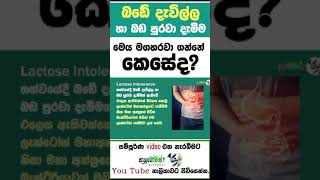 කිරි ආහාර නොදිරවීම|Lactose Intolerance  #lactoseintolerant #sinhalahelth #treating#viral #viralvideo