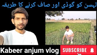 Our garlic crop || Hmara lehsan || Kabeer anjum vlog