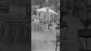 Lloviendo en mi pueblo, mientras suena #Triana. #lluvia #montalban #campiñacordobesa