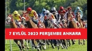 7 EYLÜL 2023 PERŞEMBE ANKARA AT YARIŞI TAHMİNLERİ VE YORUMLARI