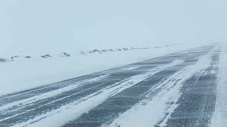 Боран күнгі пергілесу 🥶