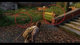 TLOU: Following The Monkeys (Close Up Glitch) ! (PS3)