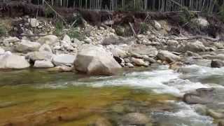 China enjoying the rapids at Lincoln Woods