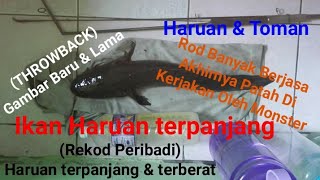 #02 (ThrowBack Picture) Casting Ikan Haruan @ Dalak & Toman 🎣🎣🎣 Tahun 2015-2020