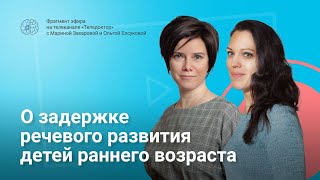 О задержке речевого развития детей раннего возраста 2