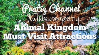 Animal Kingdom Walt DIsney World 2018 Attractions | Kilimanjaro Safari | Expedition Everest