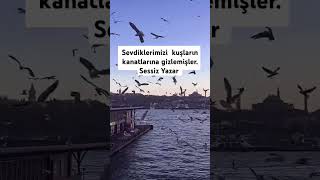 Kuşlar ötün gayri🕊#sessizyazar #cuma #shorts #keşfet #öneçıkar #kuslar #istanbul #eminönü #deniz