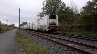 CSX local heading down the national docks with spirit of west Maryland running long hood forward