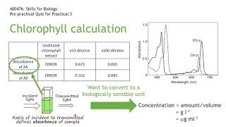 Preprac3 Calculation Video