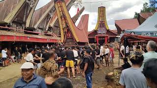 Inilah Ritual Rambu Solo' TORAJA