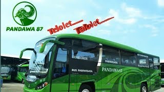 Telolet Po.Pandawa87 ||Kepulangan tour malang jawa timur #shorts