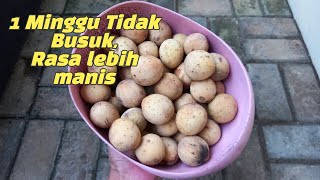 Cara Supaya Buah Duku Lebih Awet, Lebih Manis & Tidak Cepat Busuk