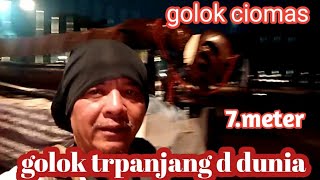 7meter,GOLOK TRPANJANG D DUNIA, GOLOK CIOMAS BANTEN @harizalchannel