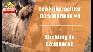 Een kijkje achter de schermen#3 - Stichting de Ezelshoeve