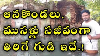 The Most Old Ancient Temple Tour by Raju Allagadda.! Mystery of oldest Ancient Temple Tour.!