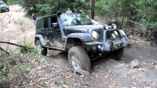 Hill climb @ Monkey Gum Trail - JK Wrangler