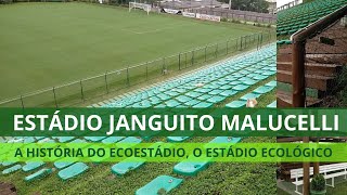 ECO ESTÁDIO: A história do estádio ecológico feito com materiais sustentáveis