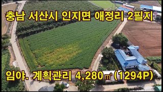 [딸기182]충남 서산시 인지면 애정리 2필지 임야 매매 딸기공인중개사 010 9429 0880