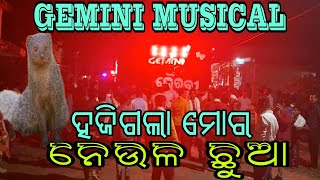 Hajigala Mora Neula Chhua // ହଜିଗଲା ମୋର ନେଉଳ ଛୁଆ // Gemini musical #bhasani #berhampur #dj #trending