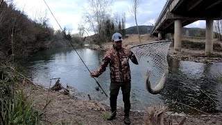 Spinning in fiume - Luccio sotto al ponte