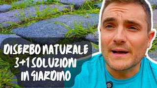 3 SOLUZIONI +1 PER UN DISERBO NATURALE