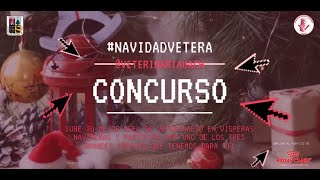 Ganadores concurso #NavidadVetera 2021 - REELS