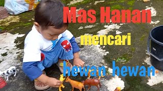 mencari hewan sapi harimau singa kuda kambing