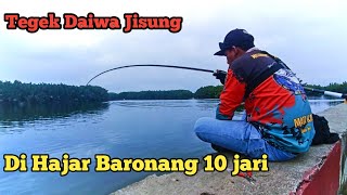 Mancing Ikan Baronang 10 jari Menggunakan Tegek Daiwa Jisung