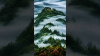 Clouds in forest #shorts #youtubeshorts #viral #viralvideo