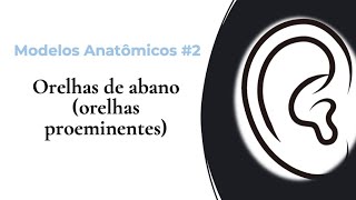 Modelos anatômicos - Orelhas de Abano