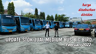 Update Stok Jual Medium Bus Big Bird || Mitsubishi FE84 || Februari 2022