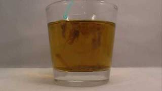 Coppersulfate Precipitation Reaction 1