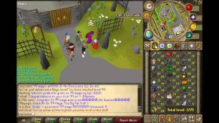 Ari Update #11 | Old Wildy | PERM BANN | OLD CLIPS