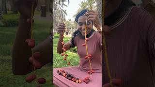 Fresh ഈത്തപ്പഴം പറിക്കാൻ പോയാലോ🥰😋 #dubai #food #malayalam #minivlog