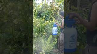 SEMPROTAN PESTISIDA 5 LITER, SPRAYER HAMA NOKAKU