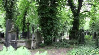 Olšany Cemetery, Prague