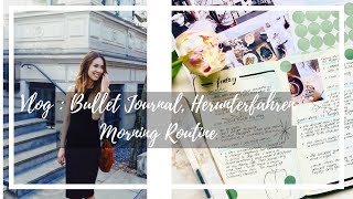 Projekt geht weiter, Bullet Journal time, vor sich hin singen VLOG