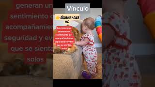 Vínculos entre los niños y los animales #amor #estimulaciontemprana #crianzarespetuosa #desarrollo