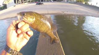 smallmouth bass Ohio River.....Cincinnati