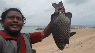 Ikan Laut Dari Pantai Sindu(1)