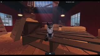 Floppa Plays Roblox Warrior Cats Ultimate Edition