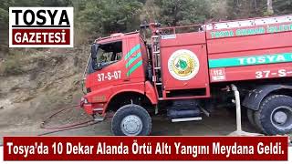 Tosya’da 10 Dekar Alanda Örtü Altı Yangını Meydana Geldi.