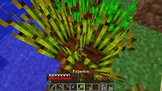 W Imie Minecraft #7/10-Zegar