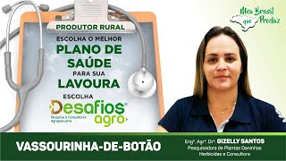 Manejo de Vassourinha-de-Botão