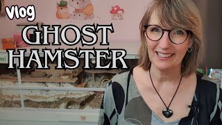 Ik zie mijn hamster nooit ! Ghost hamster (vlog)