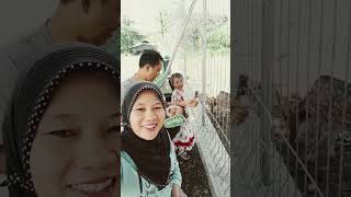 koq tau dari dulu #viral #trending #shortsviral #videoshort #viralvideo #remix #minang hits