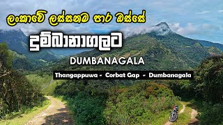 Dumbanagala Mountain | මීදුමෙන් බර දුම්බානාගල | Thangappuwa - Corbett'sGap - Dumbanagala #nadaya