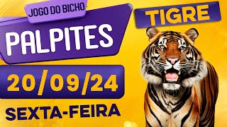 PALPITE DO DIA 20/09/2024 - JOGO DO BICHO 🍀 TODAS AS LOTERIAS 🍀