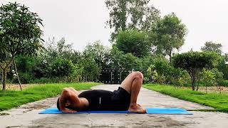 wheel pose   chakrasana